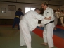 Adult Jujitsu and Judo