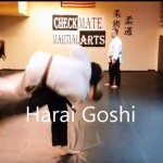 HARIA GOSHI