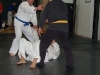 adult-jujitsu-belt-test-2006e